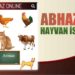 Abhazca Hayvan İsimleri