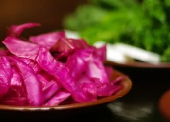 Beyaz Lahana Turşusu -Ахәылрҳә рҵәы