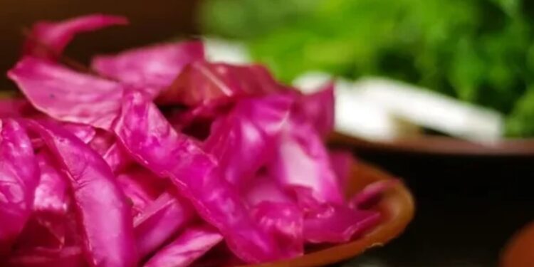 Beyaz Lahana Turşusu -Ахәылрҳә рҵәы