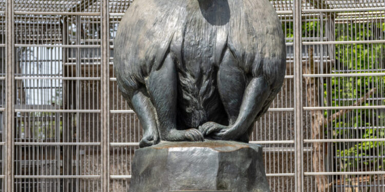 Abhazya-Sohum maymun parkı (Suhum)