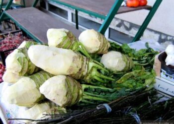 Yar lahana türşüsu-Ахәылрҵәы