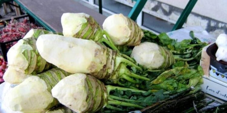 Yar lahana türşüsu-Ахәылрҵәы