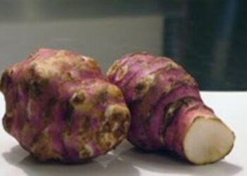 Yerelması türşüsu-Аҷыркәарҵәы