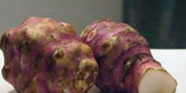 Yerelması türşüsu-Аҷыркәарҵәы