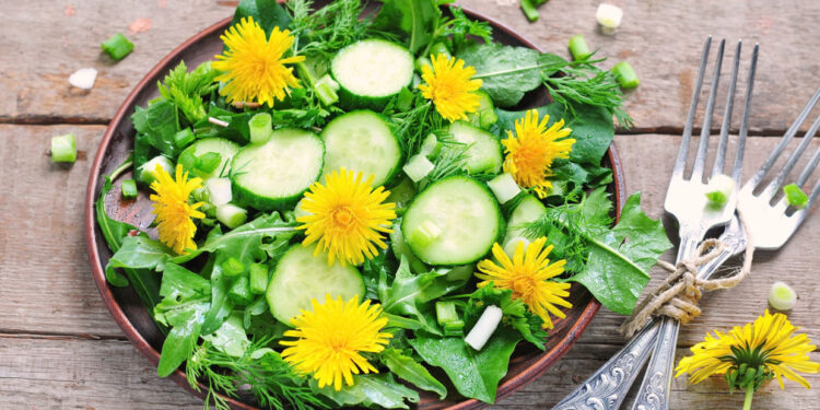 Салат из одуванчиков