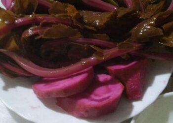 Ахәылрҵәы– соленая кольраби