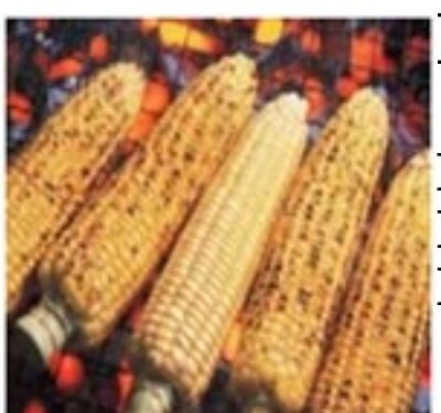 Аҧшӡны – кукуруза в початках, жаренная на вертеле