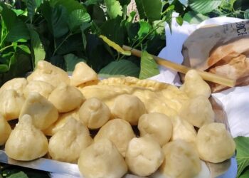 Ahampal- Abhazyada mantı