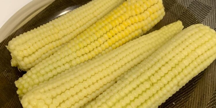 Аҧшжәны – отварная кукуруза в початках