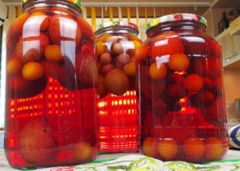 Атамеи ажьи ирылхны ашәырӡы-компот из персиков и винограда