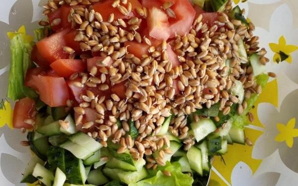 Салат из пшеницы