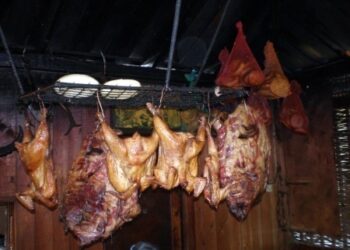 Kanatlı hayvanlar ızgarası-аpsaat jı rüanı