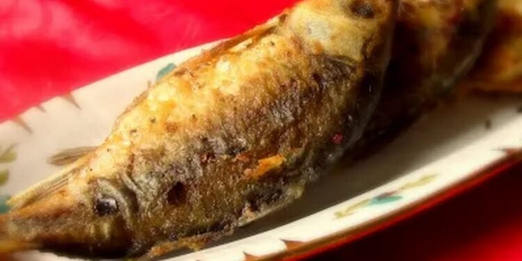 Апҟыш (карп )аҧсыуала-карп по-абхазски