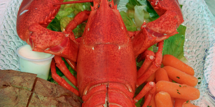 Лобстер-Istakoz
