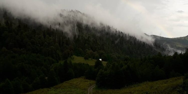 Пантеон богов