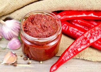 Аджика-Аџьыка