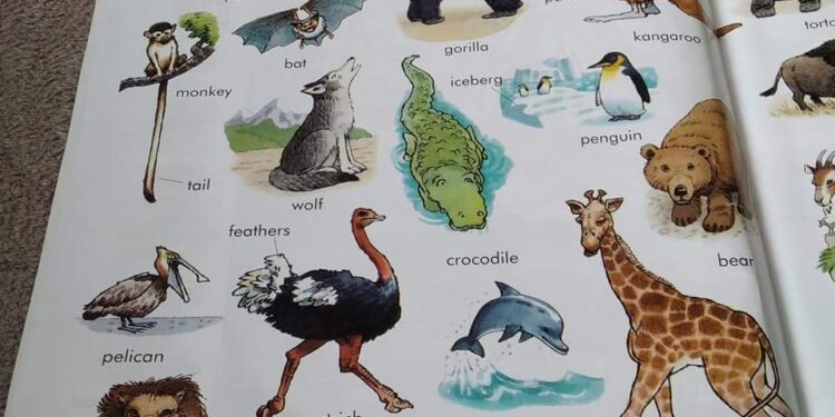 Hayvanlar(bir bölümü)dört (4)dilde. “Türkçe_Abhazca_Rusça_İngilizce. Faydalanmak isteyen varsa?