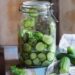 Быстрые маринованные огурчики