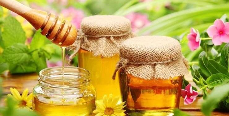 Какой мед и при каких заболеваниях помогает?