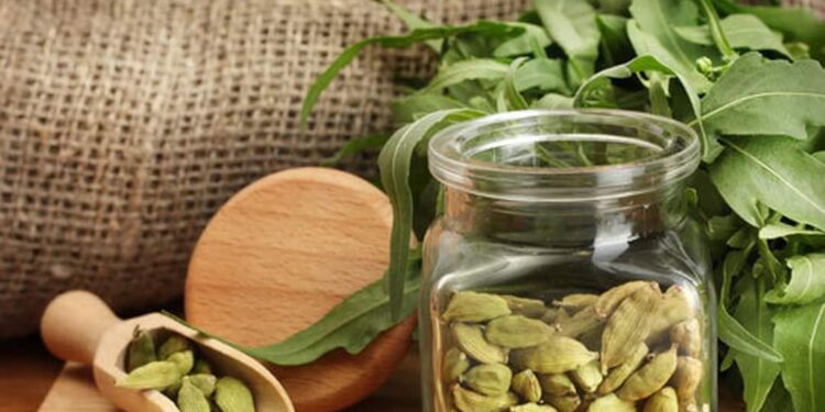 ПРИ КАКИХ ЗАБОЛЕВАНИЯХ ПОМОГУТ СЕМЕНА КАРДАМОНА