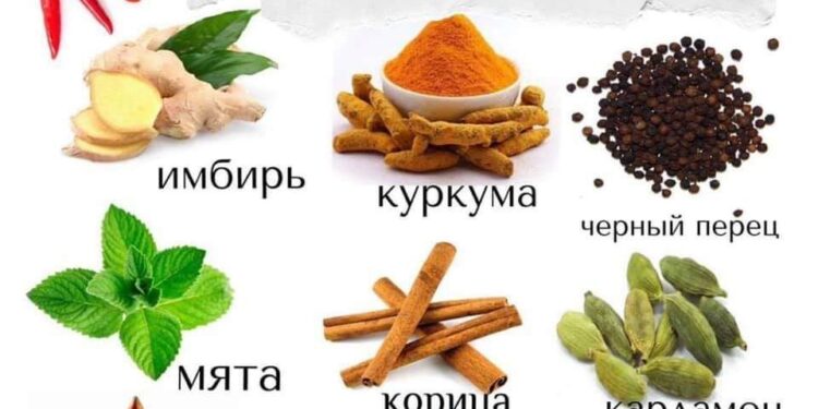 Специи в народной медицине