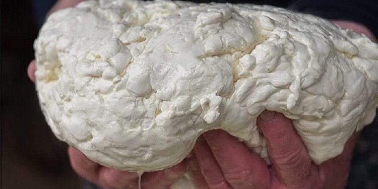 Ауаса ахш иалхны ашә – Сыр из овечьего молока(ахмасиа)