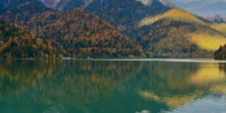 Abhaz kayık böreği.