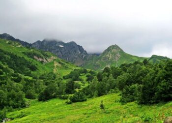 Абжьыуаа рыраху ахькарцалоз ашьхақәа