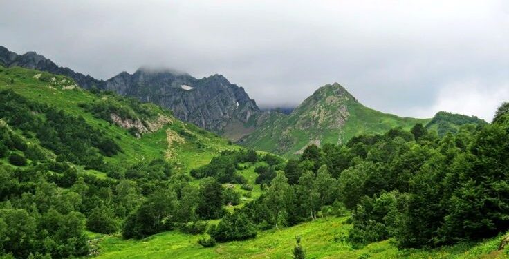 Абжьыуаа рыраху ахькарцалоз ашьхақәа